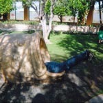 Andrew Stucki